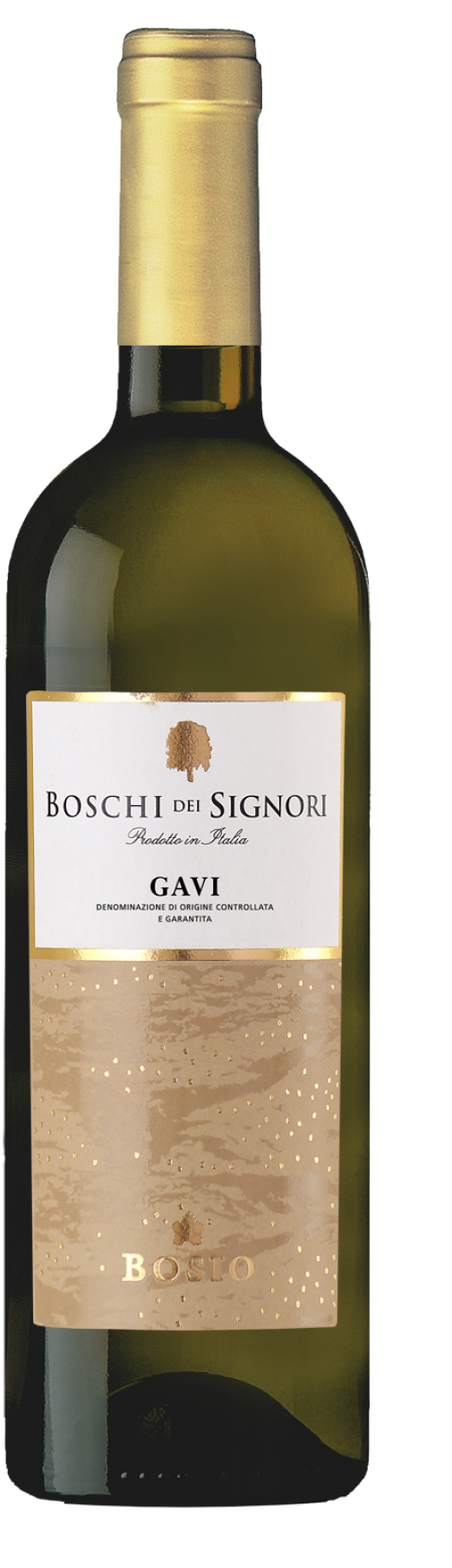 Bosio, Gavi, 2021