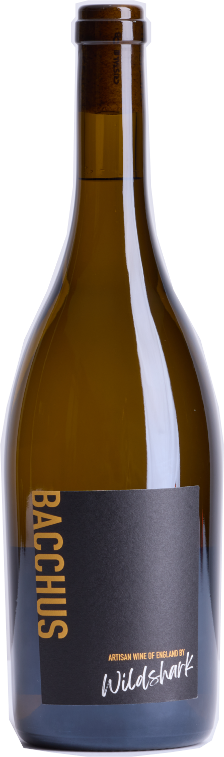 Wildshark, Bacchus, 2024